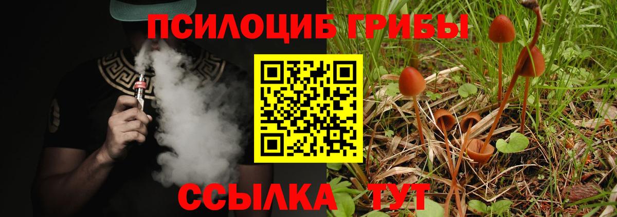 Галлюциногенные грибы Psilocybine cubensis  Галлюциногенные грибы Magic Shrooms  Вход с VPN  Улан-Удэ 